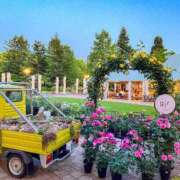 ヒメ日記 2026/04/21 07:55 投稿 せりな 究極カワイイ！ ウエスト・コム