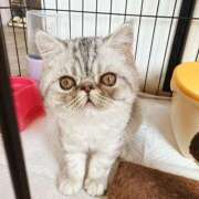 ヒメ日記 2025/05/03 10:16 投稿 りおん 極上サービス◎！！ ウエスト・コム