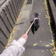 ヒメ日記 2025/05/08 08:26 投稿 りおん 極上サービス◎！！ ウエスト・コム