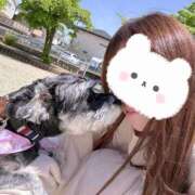 ヒメ日記 2025/05/09 22:56 投稿 りおん 極上サービス◎！！ ウエスト・コム