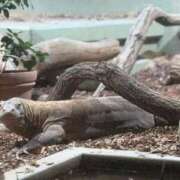 ヒメ日記 2025/05/11 08:56 投稿 りおん 極上サービス◎！！ ウエスト・コム