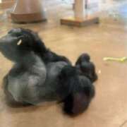 ヒメ日記 2025/05/11 09:16 投稿 りおん 極上サービス◎！！ ウエスト・コム