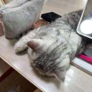 ヒメ日記 2025/05/19 19:06 投稿 りおん 極上サービス◎！！ ウエスト・コム