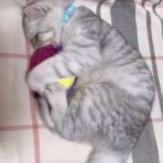 ヒメ日記 2025/05/22 19:16 投稿 りおん 極上サービス◎！！ ウエスト・コム