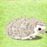 ヒメ日記 2025/05/25 10:06 投稿 りおん 極上サービス◎！！ ウエスト・コム