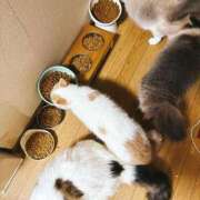 ヒメ日記 2025/05/26 13:36 投稿 りおん 極上サービス◎！！ ウエスト・コム