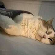 ヒメ日記 2025/05/27 07:56 投稿 りおん 極上サービス◎！！ ウエスト・コム