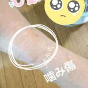 ヒメ日記 2025/06/06 20:06 投稿 りおん 極上サービス◎！！ ウエスト・コム