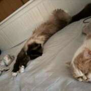 ヒメ日記 2025/06/08 00:16 投稿 りおん 極上サービス◎！！ ウエスト・コム