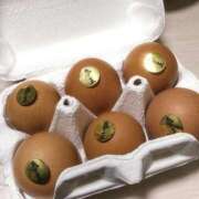 ヒメ日記 2025/06/09 21:06 投稿 りおん 極上サービス◎！！ ウエスト・コム