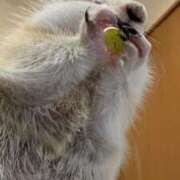 ヒメ日記 2025/06/13 19:31 投稿 りおん 極上サービス◎！！ ウエスト・コム