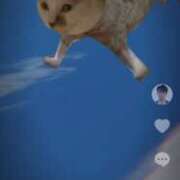 ヒメ日記 2025/06/15 20:17 投稿 りおん 極上サービス◎！！ ウエスト・コム