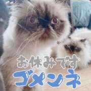 ヒメ日記 2025/06/21 09:26 投稿 りおん 極上サービス◎！！ ウエスト・コム