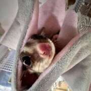 ヒメ日記 2025/06/21 13:06 投稿 りおん 極上サービス◎！！ ウエスト・コム