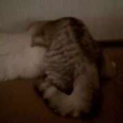 ヒメ日記 2025/06/22 21:36 投稿 りおん 極上サービス◎！！ ウエスト・コム