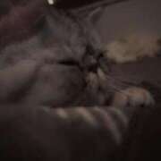 ヒメ日記 2025/06/25 07:56 投稿 りおん 極上サービス◎！！ ウエスト・コム