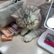 ヒメ日記 2025/06/28 08:06 投稿 りおん 極上サービス◎！！ ウエスト・コム