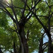 ヒメ日記 2025/07/01 11:17 投稿 りおん 極上サービス◎！！ ウエスト・コム