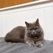 ヒメ日記 2025/07/13 07:38 投稿 りおん 極上サービス◎！！ ウエスト・コム