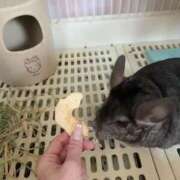 ヒメ日記 2025/07/20 21:50 投稿 りおん 極上サービス◎！！ ウエスト・コム