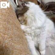 ヒメ日記 2025/07/29 20:45 投稿 りおん 極上サービス◎！！ ウエスト・コム