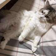 ヒメ日記 2025/07/31 10:31 投稿 りおん 極上サービス◎！！ ウエスト・コム