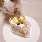 ヒメ日記 2025/08/03 20:46 投稿 りおん 極上サービス◎！！ ウエスト・コム