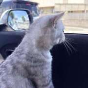 ヒメ日記 2025/08/08 13:17 投稿 りおん 極上サービス◎！！ ウエスト・コム