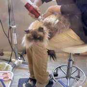 ヒメ日記 2025/08/08 13:29 投稿 りおん 極上サービス◎！！ ウエスト・コム