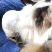 ヒメ日記 2025/08/11 16:36 投稿 りおん 極上サービス◎！！ ウエスト・コム