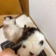 ヒメ日記 2025/09/01 12:06 投稿 りおん 極上サービス◎！！ ウエスト・コム