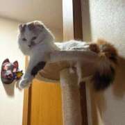 ヒメ日記 2025/09/04 07:46 投稿 りおん 極上サービス◎！！ ウエスト・コム