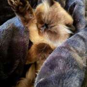 ヒメ日記 2025/10/19 06:35 投稿 りおん 極上サービス◎！！ ウエスト・コム