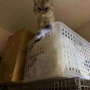 ヒメ日記 2025/10/28 12:47 投稿 りおん 極上サービス◎！！ ウエスト・コム