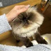 ヒメ日記 2025/10/30 06:33 投稿 りおん 極上サービス◎！！ ウエスト・コム