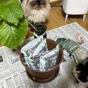 ヒメ日記 2025/11/07 19:37 投稿 りおん 極上サービス◎！！ ウエスト・コム