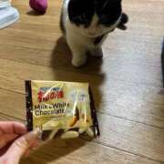 ヒメ日記 2025/11/08 09:15 投稿 りおん 極上サービス◎！！ ウエスト・コム