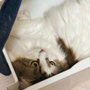 ヒメ日記 2025/11/12 06:45 投稿 りおん 極上サービス◎！！ ウエスト・コム