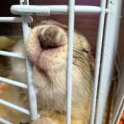 ヒメ日記 2025/11/15 23:47 投稿 りおん 極上サービス◎！！ ウエスト・コム