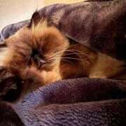 ヒメ日記 2025/11/16 07:35 投稿 りおん 極上サービス◎！！ ウエスト・コム