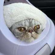 ヒメ日記 2025/11/17 13:55 投稿 りおん 極上サービス◎！！ ウエスト・コム