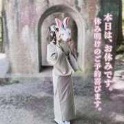 ヒメ日記 2025/11/25 09:35 投稿 りおん 極上サービス◎！！ ウエスト・コム