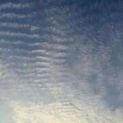 ヒメ日記 2025/12/02 17:35 投稿 りおん 極上サービス◎！！ ウエスト・コム