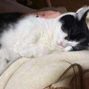 ヒメ日記 2025/12/03 10:06 投稿 りおん 極上サービス◎！！ ウエスト・コム