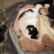 ヒメ日記 2025/12/04 06:35 投稿 りおん 極上サービス◎！！ ウエスト・コム