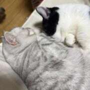 ヒメ日記 2025/12/28 05:25 投稿 りおん 極上サービス◎！！ ウエスト・コム