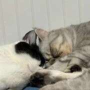 ヒメ日記 2026/01/15 08:05 投稿 りおん 極上サービス◎！！ ウエスト・コム