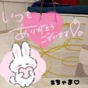 ヒメ日記 2026/01/29 18:25 投稿 りおん 極上サービス◎！！ ウエスト・コム