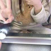 ヒメ日記 2026/03/14 07:25 投稿 りおん 極上サービス◎！！ ウエスト・コム