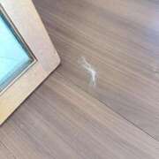 ヒメ日記 2026/04/02 11:07 投稿 りおん 極上サービス◎！！ ウエスト・コム